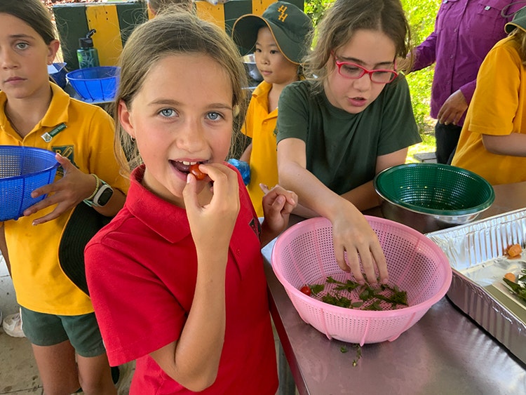 Students tasting EcoGarden produce, In their basket they have herbs and cherry tomatoes.